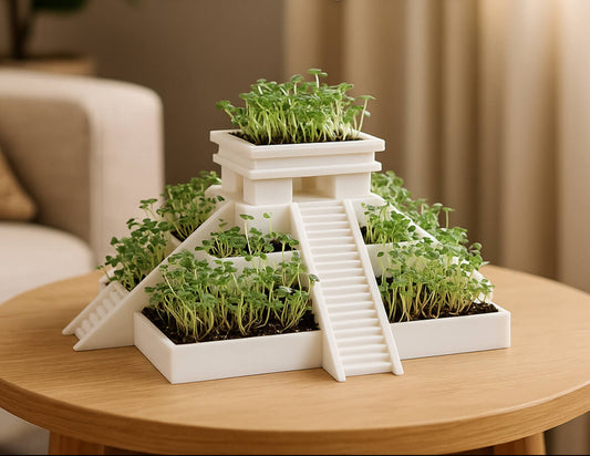 The Balance Pyramid featuring a Chia Grow Kit