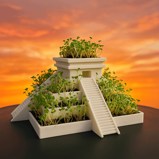 The Balance Pyramid featuring a Chia Grow Kit